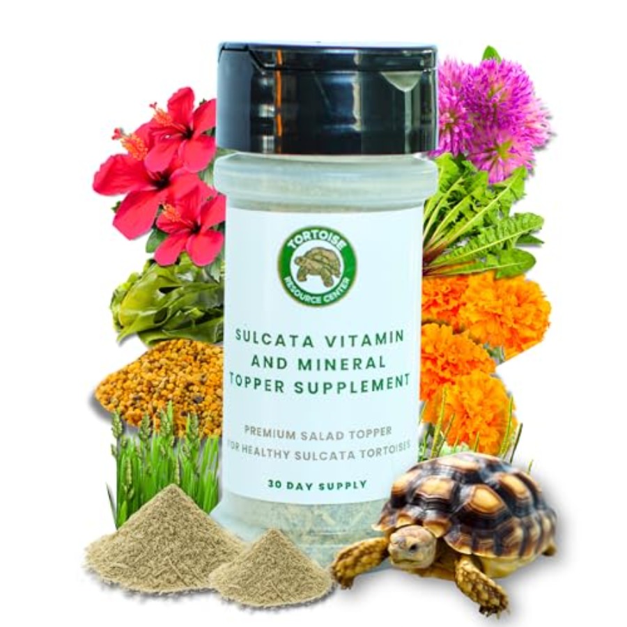 Calcium Powder Reptile - 【Spot goods】Sulcata Tortoise Calcium Powder -