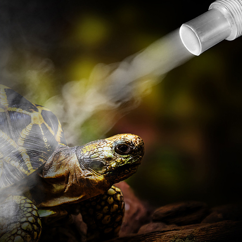 4L Reptile Terrariums Humidifi - đánh giá và giá Terrarium Fogger Ultrasonic