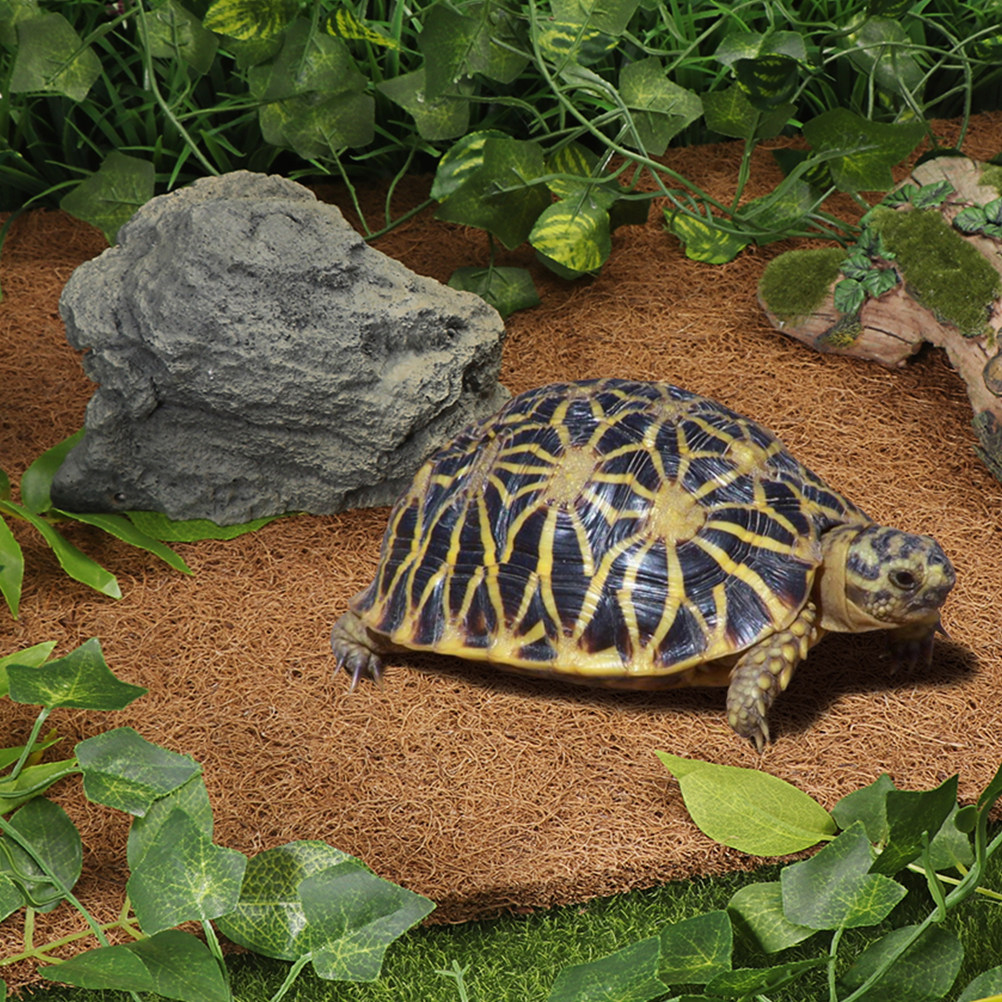 Coconut Fiber Reptile Mat Non- - đánh giá và giá Substrate Coconut Fiber