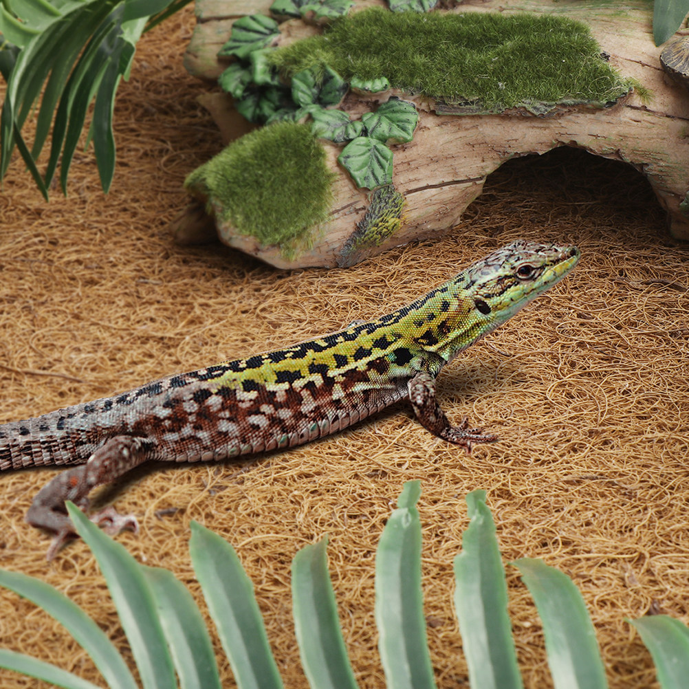 Coconut Fiber Reptile Mat Non- - đánh giá và giá Substrate Coconut Fiber