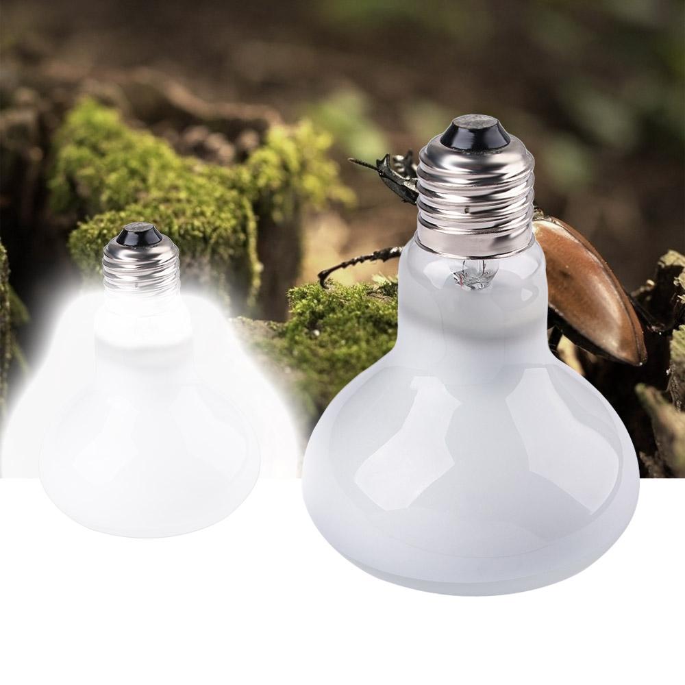 Amphibians Heater Temperature  - đánh giá và giá Basking Bulb Halogen