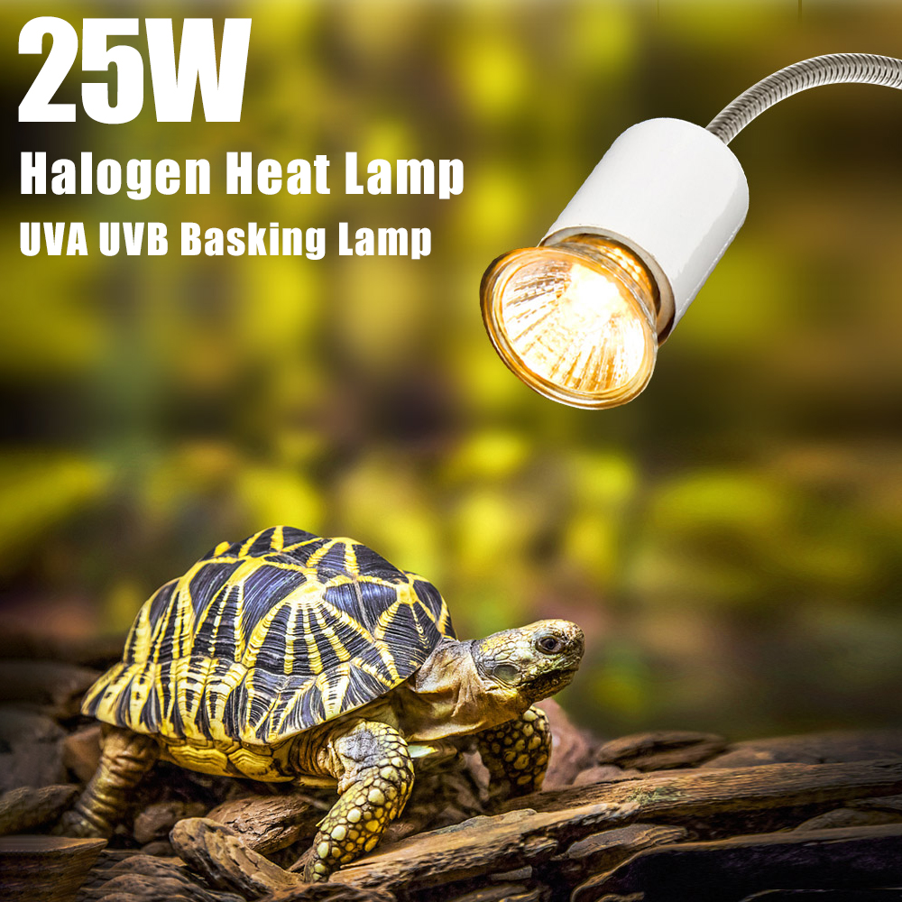 25W Halogen Heat Lamp UVA UVB  - đánh giá và giá Basking Bulb Halogen