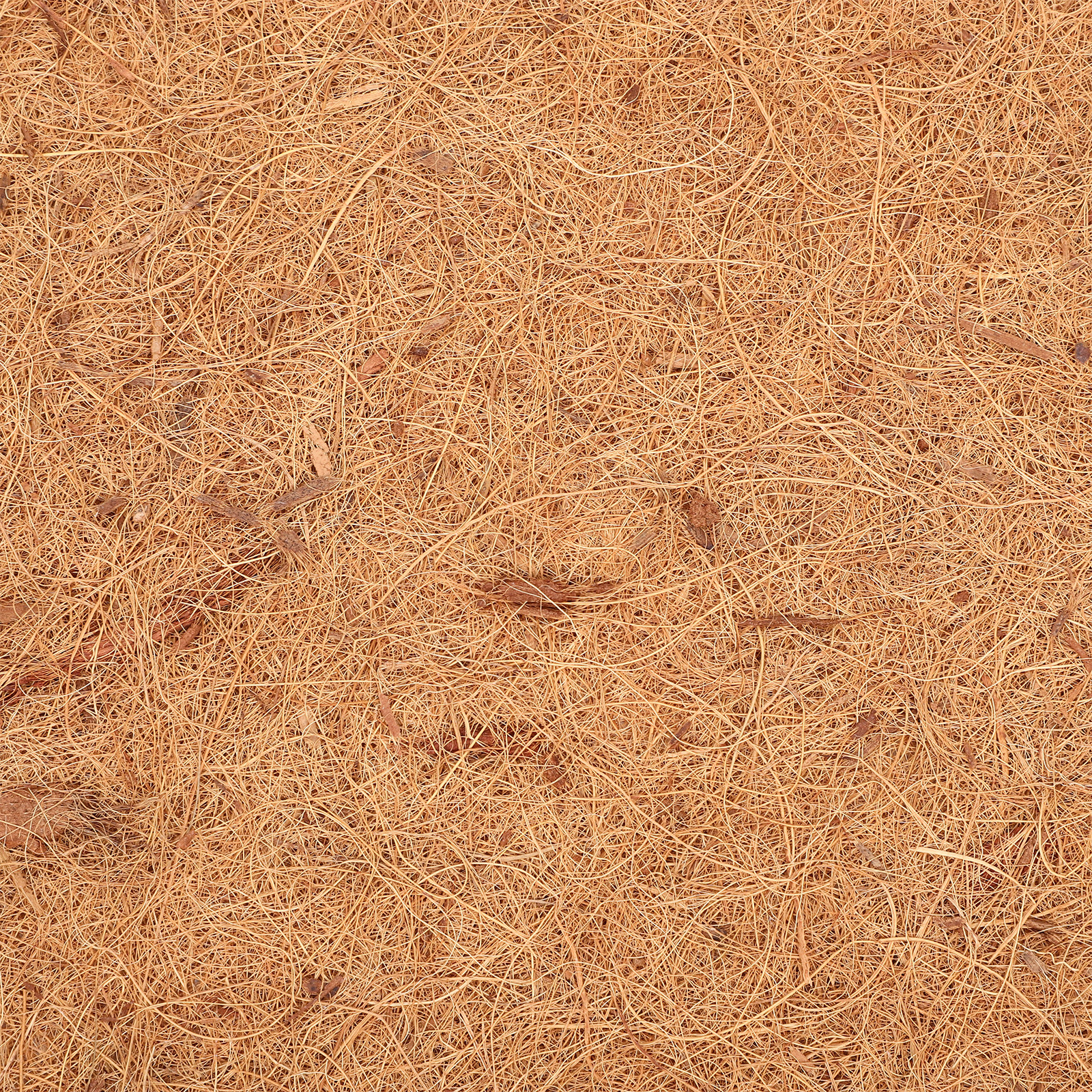Coconut Fiber Reptile Carpet M - đánh giá và giá Substrate Coconut Fiber