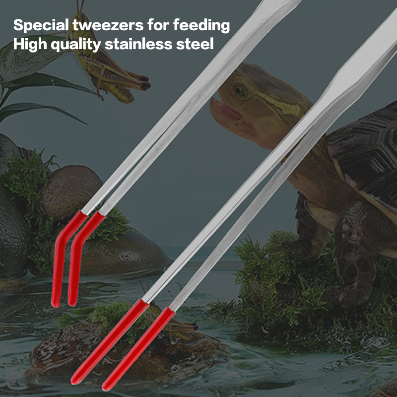 Stainless Steel Reptile With R - đánh giá và giá Feeding Tong Stainless