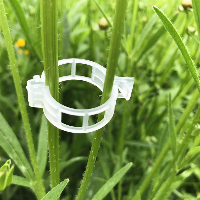 100pcs Clear Plastic Plant Cli - đánh giá và giá Vine Climbing Plastic
