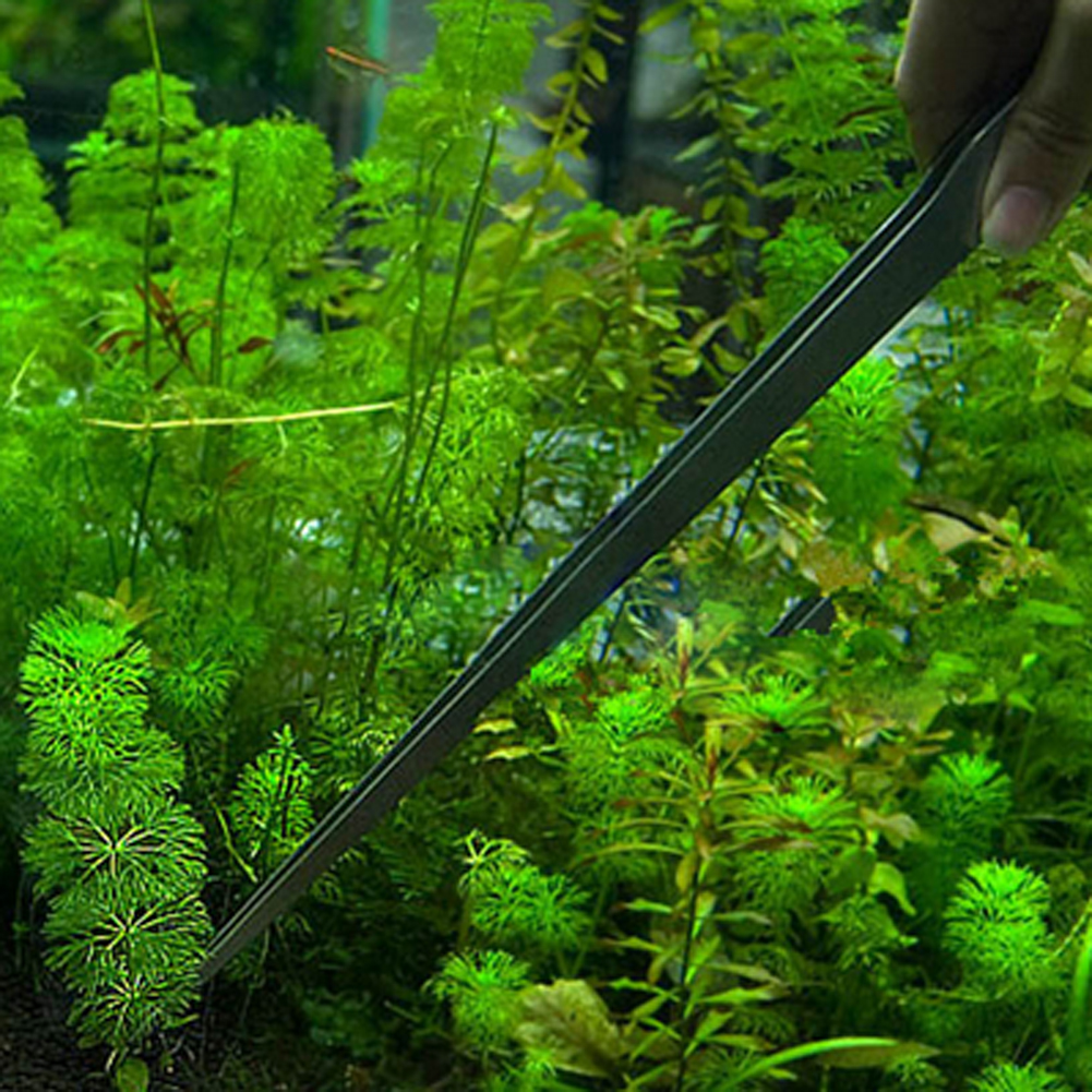 10.5 Inch Reptile Feeding Tong - đánh giá và giá Feeding Tong Stainless