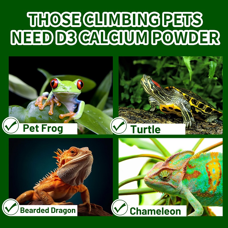 Crawling Pet Vitamin D3 Calciu - đánh giá và giá Calcium Powder Reptile