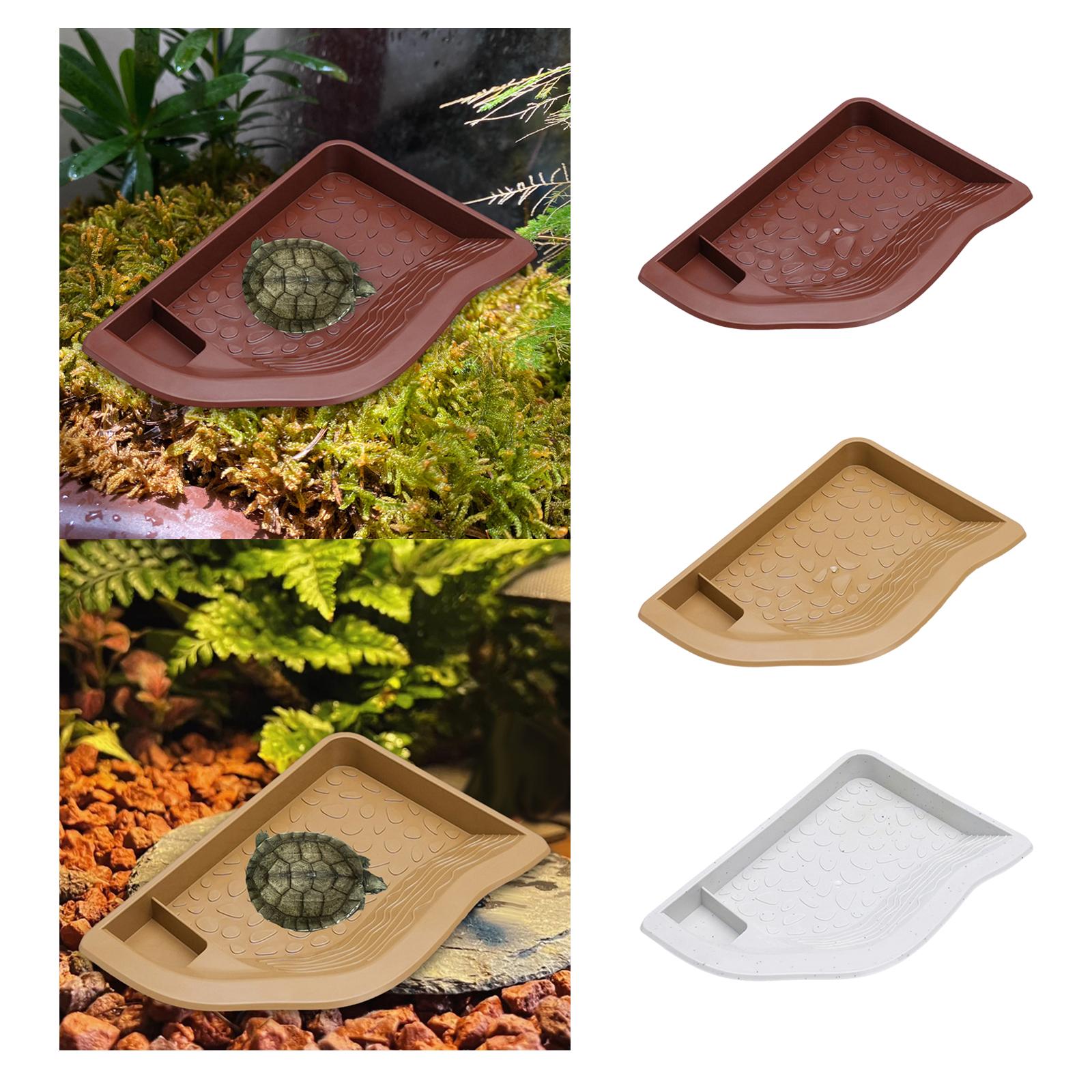 Reptile Pool Water Dish, Torto - đánh giá và giá Water Dish Reptile