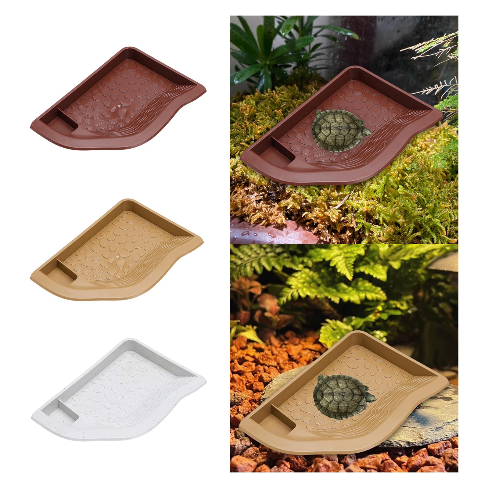 Reptile Pool Water Dish, Torto - đánh giá và giá Water Dish Reptile