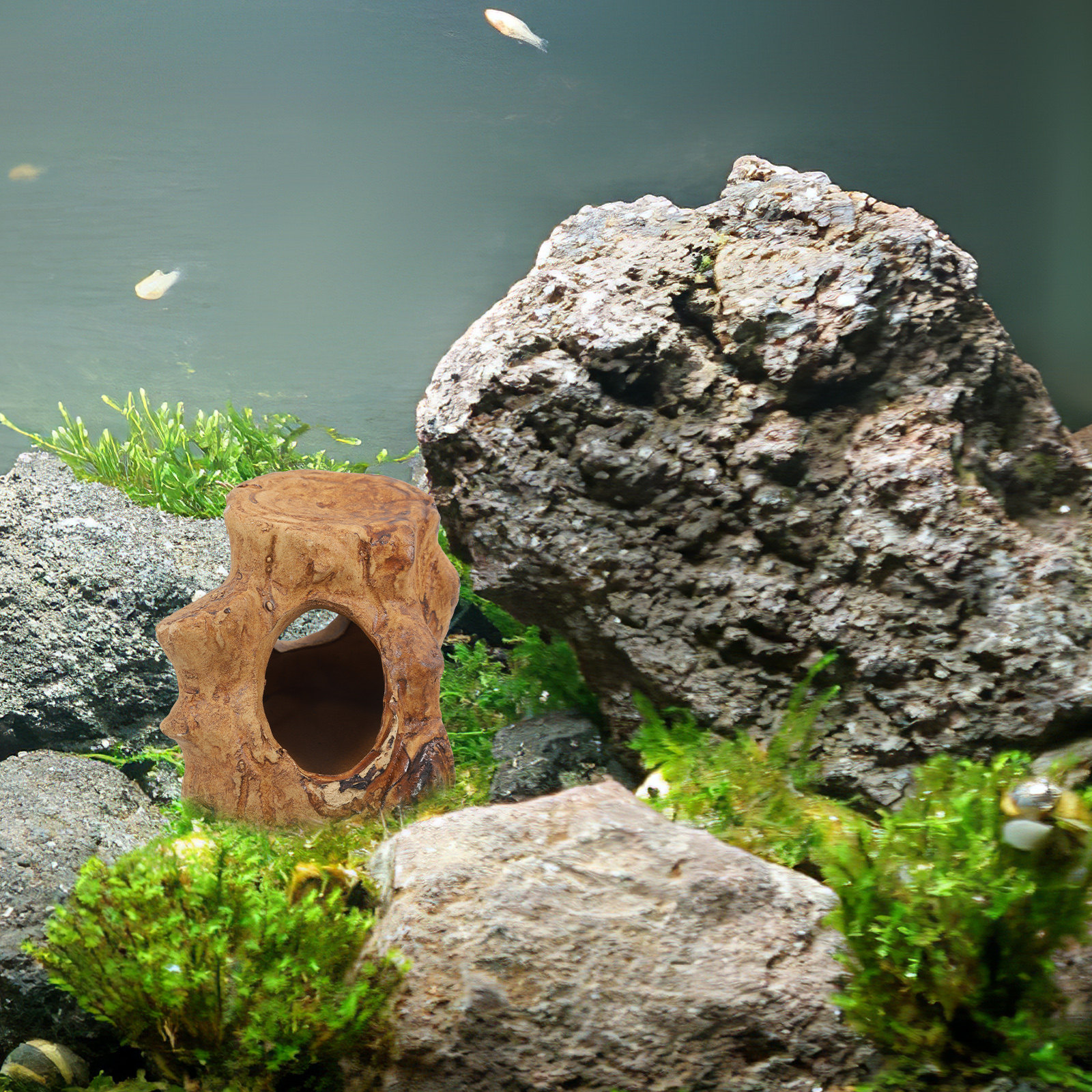 Pleco Caves for Aquarium Fish  - đánh giá và giá Hide Cave Ceramic