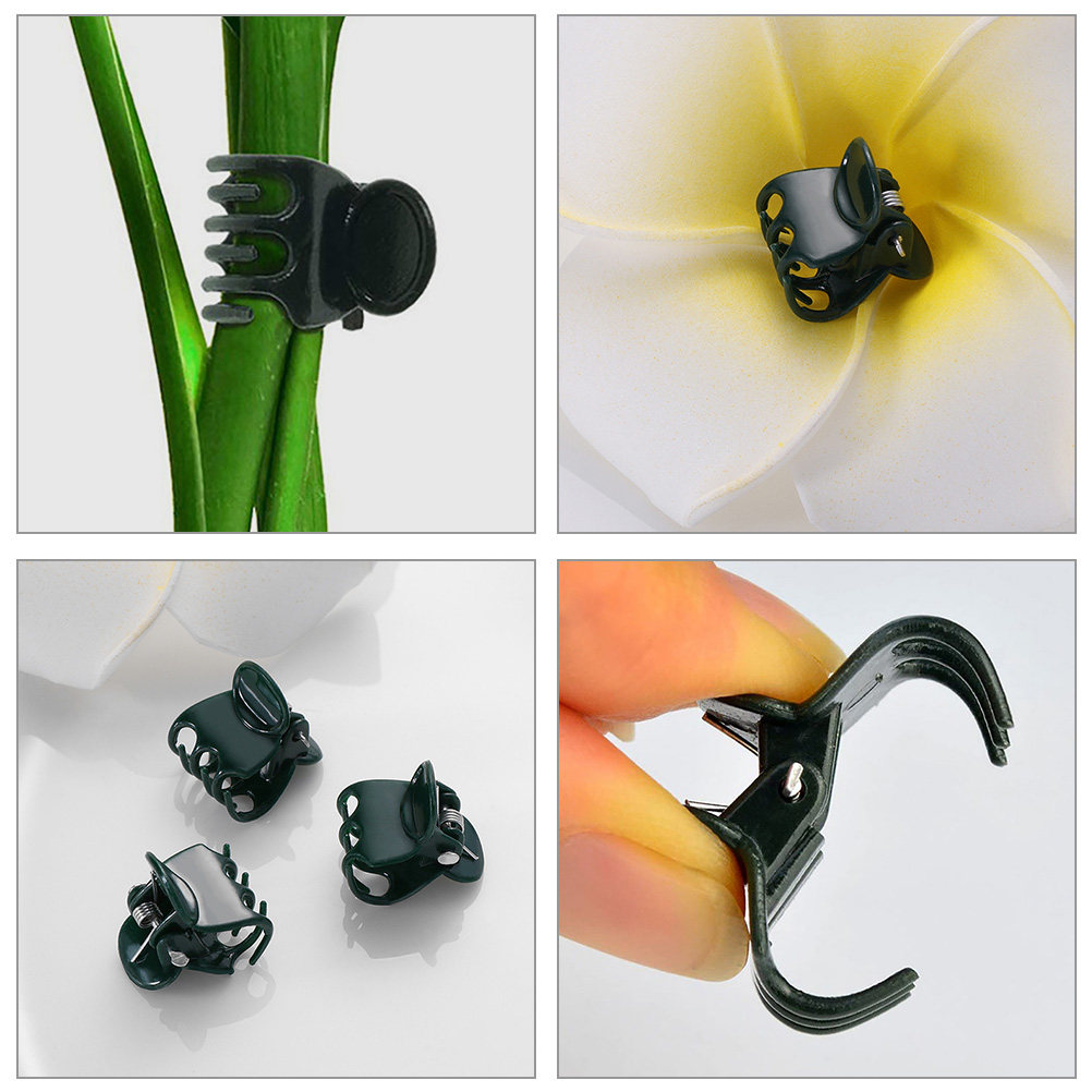 60Pcs Plant Support Clamps Pla - đánh giá và giá Vine Climbing Plastic