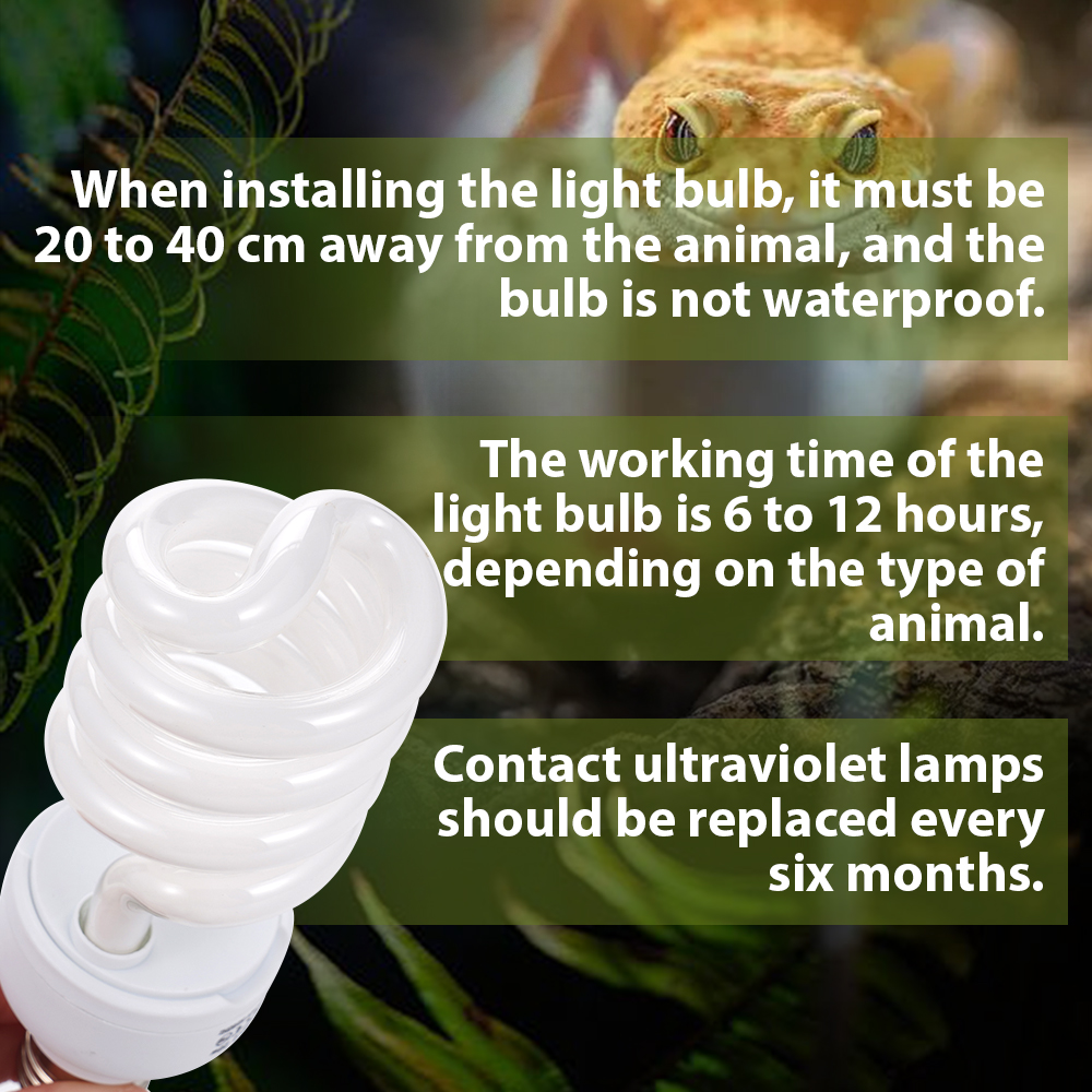 26W Pet Box Lamp Calcium Suppl - đánh giá và giá Calcium Powder Reptile