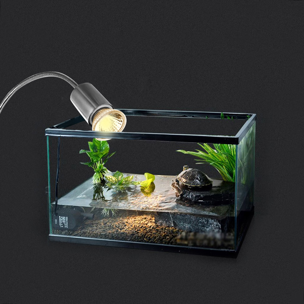 25W 50W 75W Halogen Heat Lamp  - đánh giá và giá Basking Bulb Halogen
