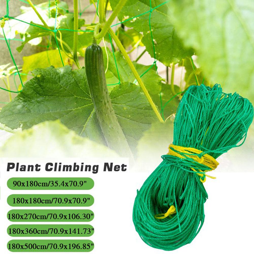 Plant Climbing Trellis Net Lat - đánh giá và giá Vine Climbing Plastic