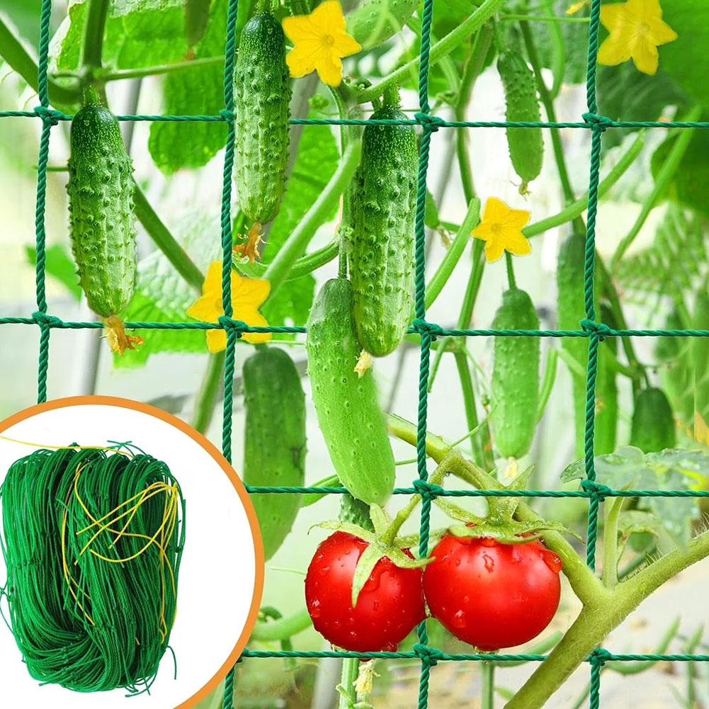 Plant Climbing Trellis Net Lat - đánh giá và giá Vine Climbing Plastic