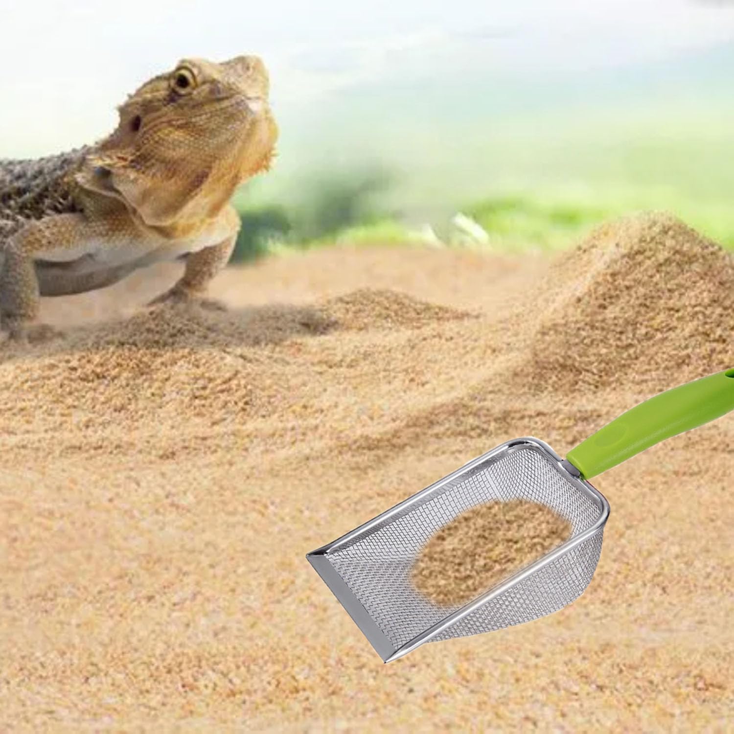 Reptile Sand Scoop Set - Fine  - đánh giá và giá Feeding Tong Stainless
