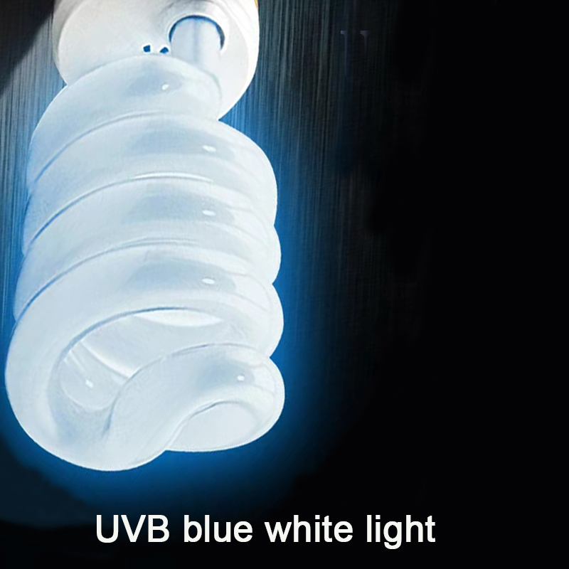 E27 13W/26W Reptile Uvb Lamp   - đánh giá và giá Calcium Powder Reptile