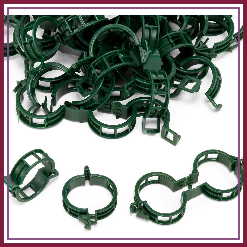 100 Pcs Plant Support Clips fo - đánh giá và giá Vine Climbing Plastic