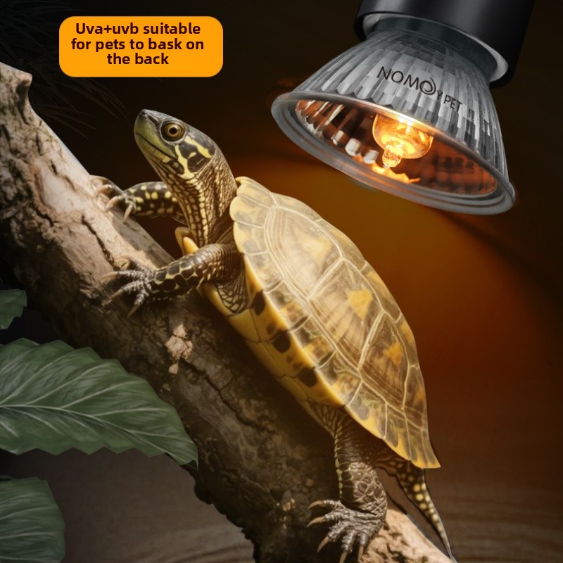 NOMOY 25/50/75w UVB 3.0 Reptil - đánh giá và giá Vitamin D3 Reptile