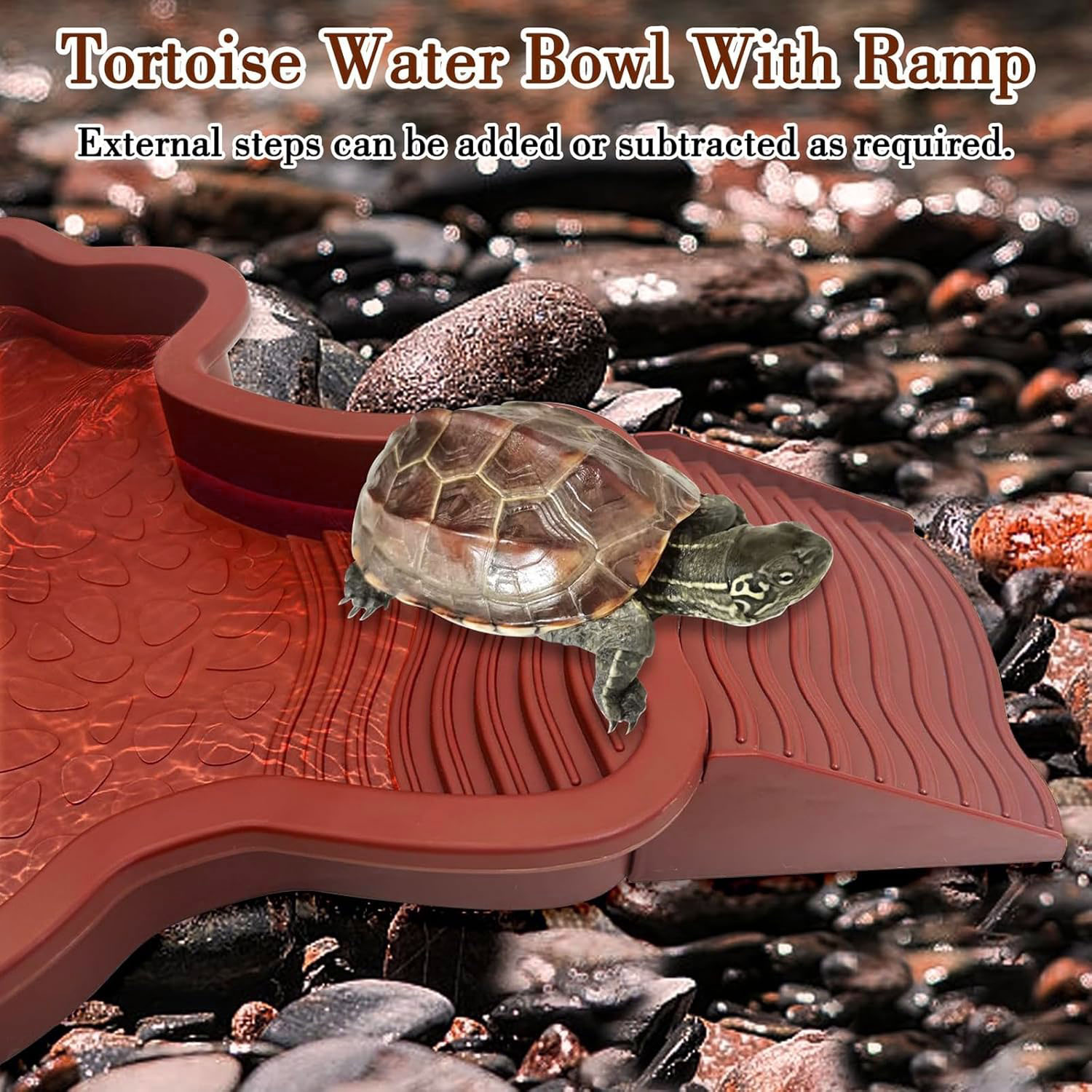Reptile Bathing Pool with Ramp - đánh giá và giá Water Dish Reptile