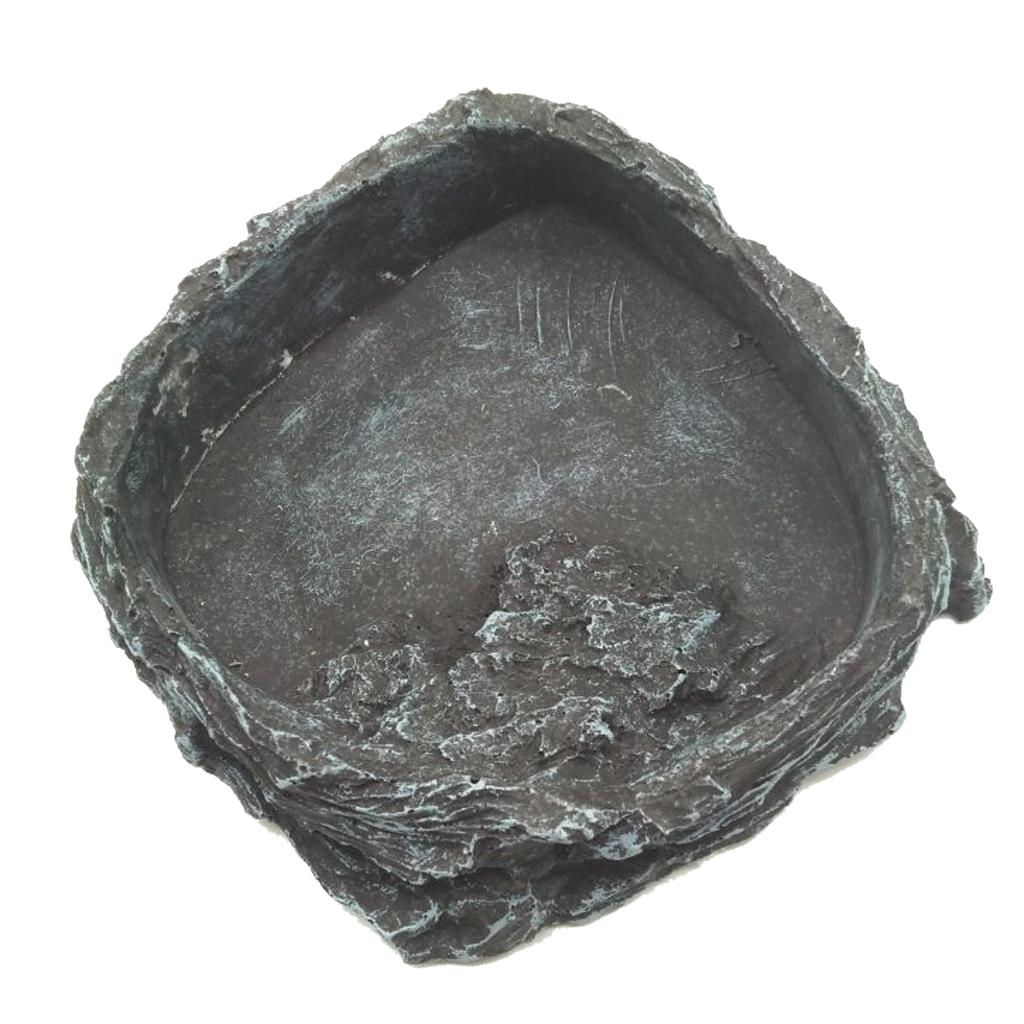 Resin Reptile Water Bowl Corne - đánh giá và giá Water Dish Reptile