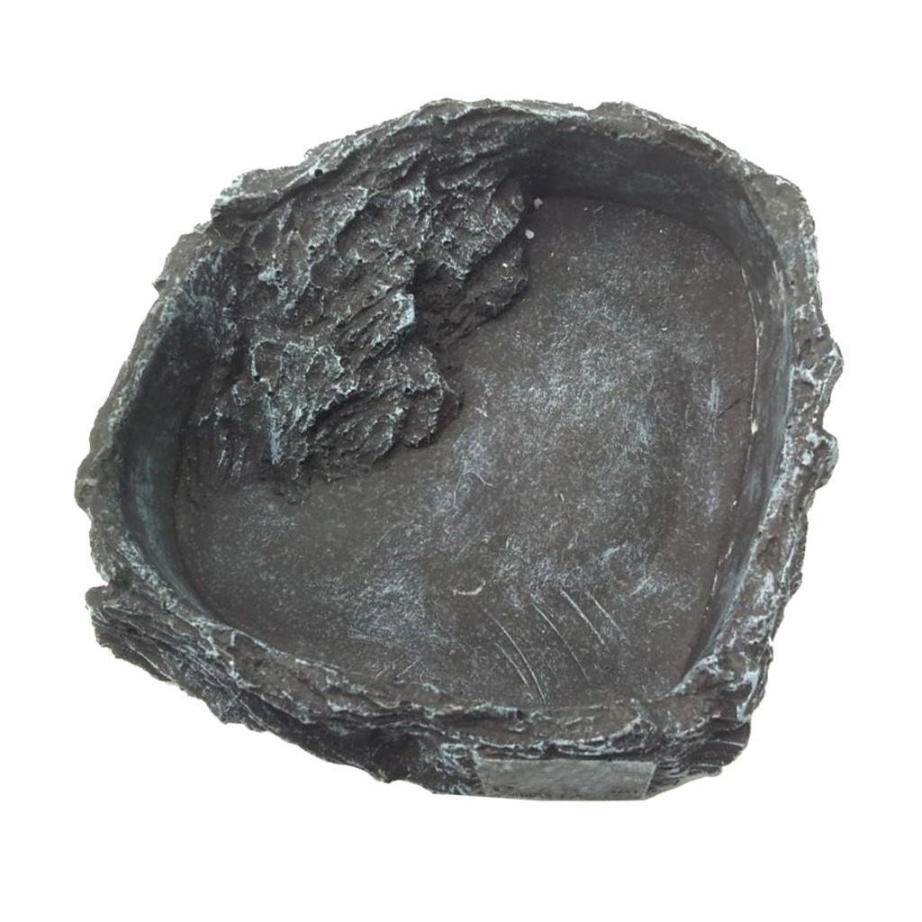 Resin Reptile Water Bowl Corne - đánh giá và giá Water Dish Reptile