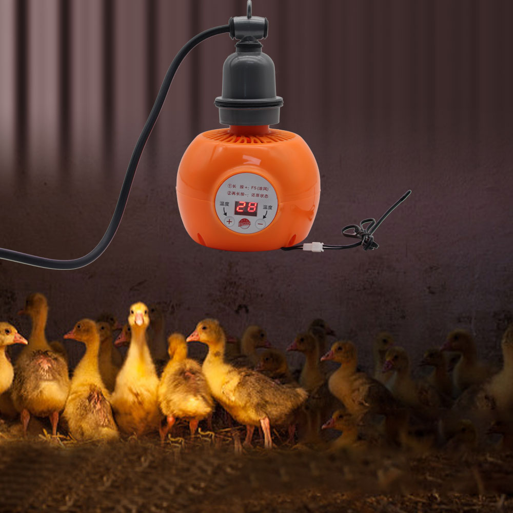 Pet Heater Animal Heating Lamp - đánh giá và giá Ceramic Heat Emitter
