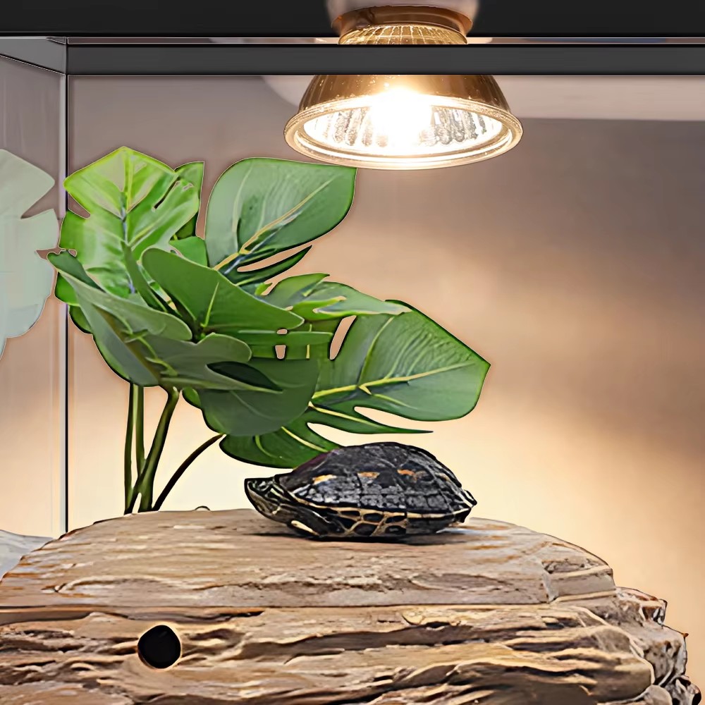 25W/75W/100W Full Spectrum UVA - đánh giá và giá Calcium Powder Reptile
