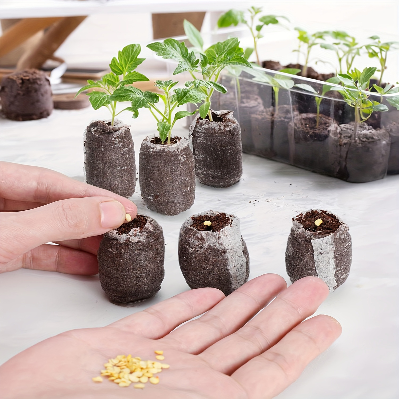 10/20/50pcs Plant Growth Bags  - đánh giá và giá Substrate Coconut Fiber